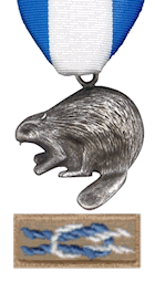 silver-beaver-award-and-knot.png